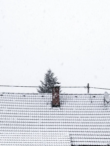 Winter Scenery Falling Snowflakes Cold Weather — Foto de Stock