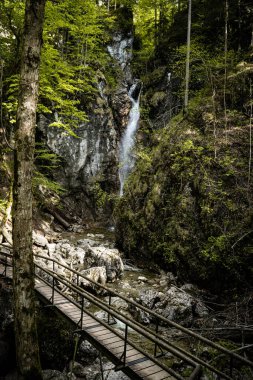 Waterfall in green nature in bavaria
