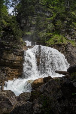 Waterfall running through creeks and green environment
