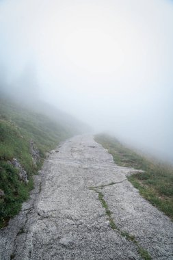 Path leading into the fog