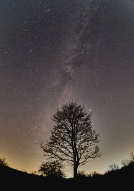 Yalnız olmak yalnız olmamak demektir.