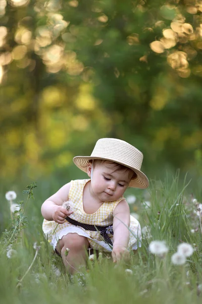 Летний портрет маленькой красивой пухлой девушки в соломенной шляпе, нюхающей одуванчики. Концепция без аллергии — стоковое фото