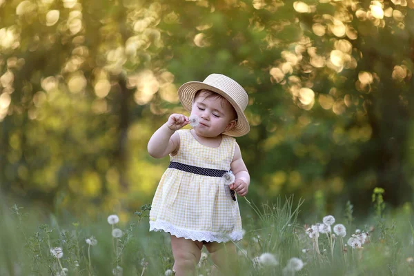 Летний портрет маленькой красивой пухлой девушки в соломенной шляпе, нюхающей одуванчики. Концепция без аллергии — стоковое фото