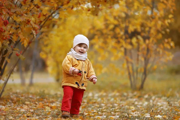Ritratto autunnale di un bambino nel parco. — Foto Stock