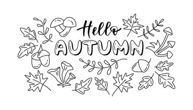 Merhaba sonbahar mektupları. Akçaağaç ve meşe yaprakları, meşe palamutları, mantarlar ile ana hatlarıyla siyah ve beyaz çizim vektörü.