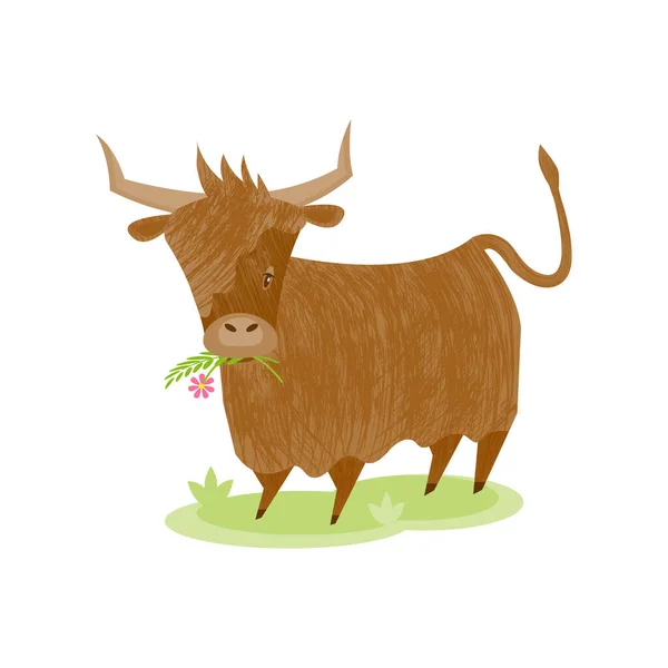 Vector Isolated Illustration Highland Cattle Flat Style Brush Texture Scottish — Stock Vector