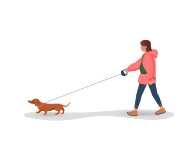 Kadın tasmalı bir dachshund köpeğine liderlik ediyor. Düz biçimde izole edilmiş vektör illüstrasyonu.