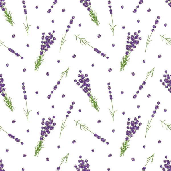 Pola Mulus Dengan Lavender Ilustrasi Warna Vektor - Stok Vektor