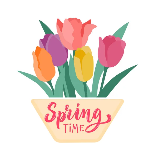Ramo Tulipanes Multicolores Maceta Ilustración Vectorial Con Letras Spring Time — Archivo Imágenes Vectoriales