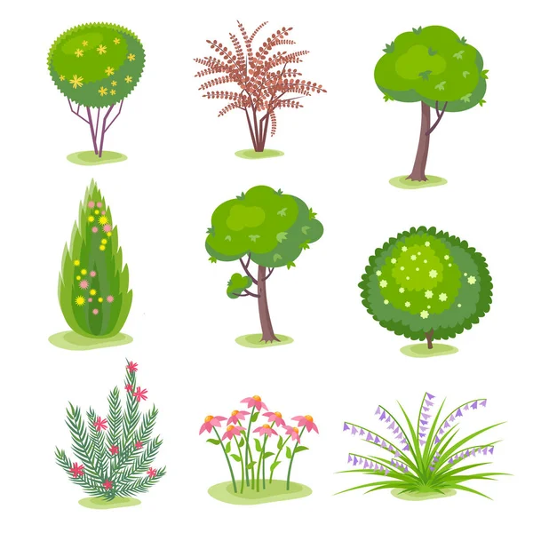 Set Van Planten Clip Art Voor Landschapsarchitectuur Ontwerp Vector Kleur — Stockvector