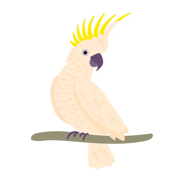 Papagaio Cacatua Uma Ramificação Ilustração Cor Isolada Vetorial — Vetor de Stock