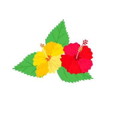 Parlak çiçekli tropik bitkiler. Vektör izole edilmiş renkli resimleme