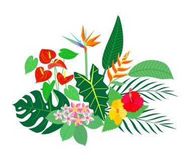 Tropical plants with a bright flowers. Vector isolated colorful illustration
