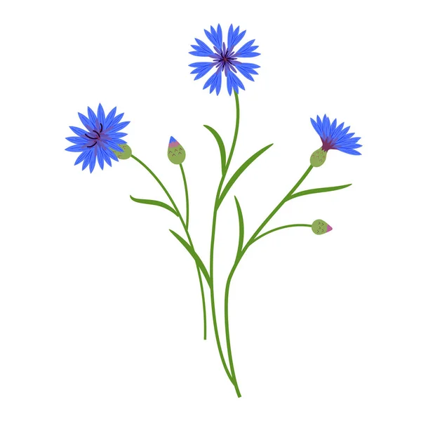 Τροπικά Φυτά Φωτεινά Λουλούδια Διάνυσμα Απομονωμένη Πολύχρωμη Απεικόνιση — Διανυσματικό Αρχείο