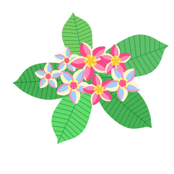 Tropical Plants Bright Flowers Vector Isolated Colorful Illustration — Stockový vektor