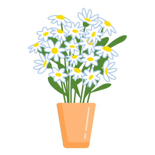 Bouquet Chamomile Pot Vector Isolated Colorful Illustration Flat Style — Stockový vektor