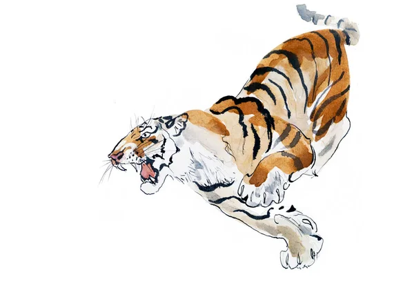 Terrible Tiger Runs Jumps Growls Watercolor Drawing — Stock Photo, Image