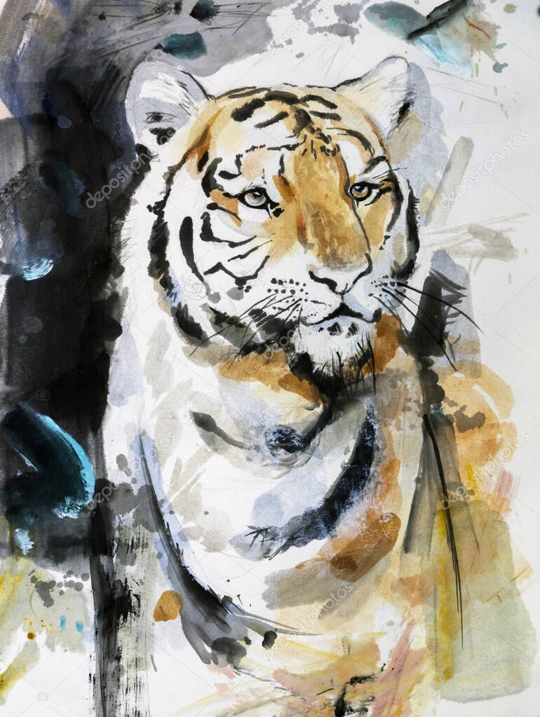 The big tiger looks menacingly - watercolor drawing
