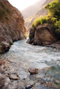 Mountain stream in the gorge of the Tien-Shan Uzbekistan
