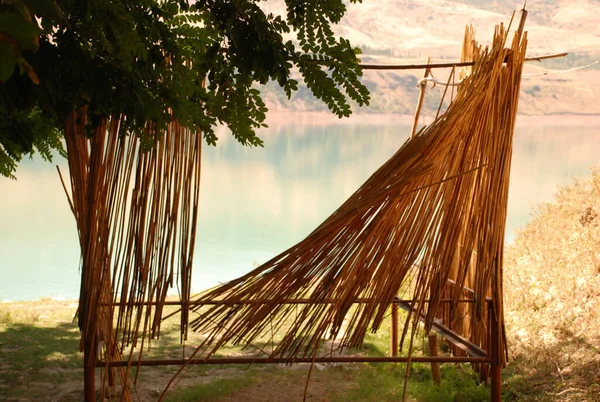 Reiki dried near the lake, in the shade on a sunny day. Blanks for handmade. Uzbekistan
