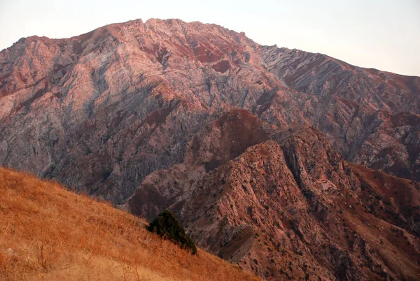 Batı Tien Shan 'ın alacakaranlığında pembe dağlar, ağustosta, akşamleyin, sonbaharda. Özbekistan
