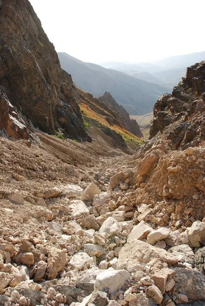 Ağustos 'ta Batı Tien Shan' ın yamaçlarında. Özbekistan