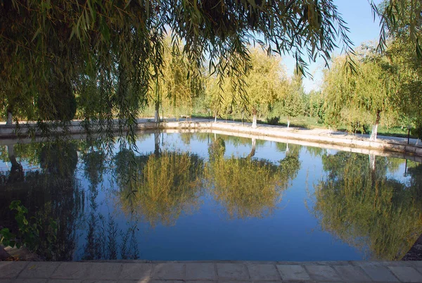 City Pond Willows Sun Uzbekistan — Stock Photo, Image