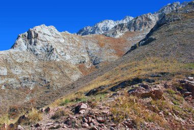 Ağustosta Tien Shan dağlarında yamaçlar ve parlak mavi gökyüzü. Özbekistan
