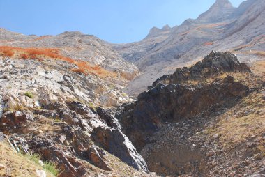 Sonbahar, sonbaharda Tien Shan 'da güneşli bir yamaç. Özbekistan