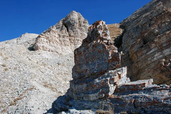 Tien Shan dağları. Özbekistan
