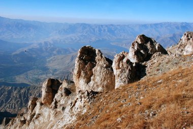 Tien Shan Dağları 'nın manzarasının arka planında kaya var. Özbekistan