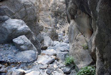 Yazın Tien Shan 'daki dağlarda deresi olan karanlık, kasvetli bir vadi. Özbekistan