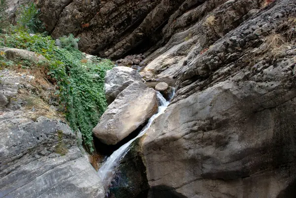 Córrego Montanha Corre Entre Pedras Nas Montanhas Tien Shan Verão — Fotografia de Stock