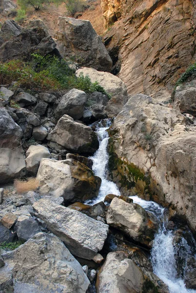 Yazın Tien Shan Dağlarındaki Taşların Arasında Bir Dağ Deresi Akar — Stok fotoğraf