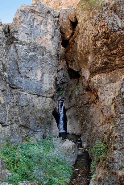 Córrego Montanha Corre Entre Pedras Nas Montanhas Tien Shan Verão — Fotografia de Stock