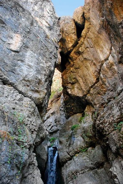 Yazın Tien Shan Dağlarındaki Taşların Arasında Bir Dağ Deresi Akar — Stok fotoğraf