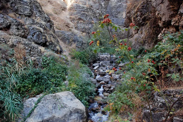 Yazın Tien Shan Daki Dağlarda Deresi Olan Karanlık Kasvetli Bir — Stok fotoğraf