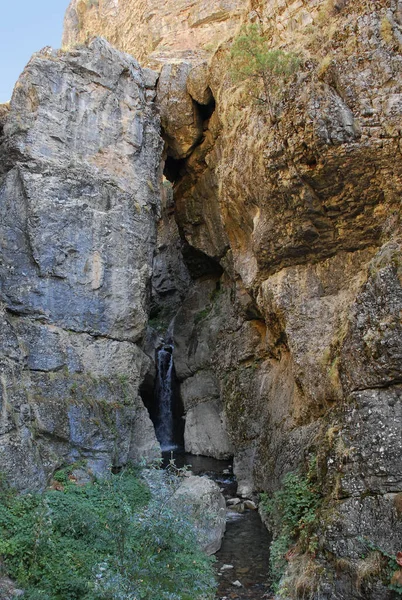 Córrego Montanha Corre Entre Pedras Nas Montanhas Tien Shan Verão — Fotografia de Stock