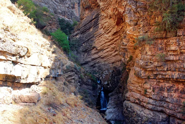 Narancs Szurdok Egy Patak Hegyekben Tien Shan Nyáron Üzbegisztán — Stock Fotó