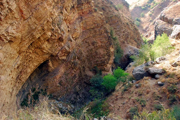 Yazın Tien Shan 'daki dağlarda deresi olan turuncu vadi. Özbekistan