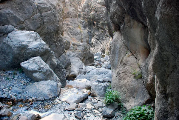 Yazın Tien Shan 'daki dağlarda deresi olan karanlık, kasvetli bir vadi. Özbekistan