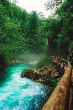 Slovenya 'nın Ljubljana kentindeki Vintgar Vadisi' nde bir akarsu yolu manzarası