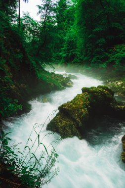 Ljubljana, Slovenya 'daki Vintgar Vadisi