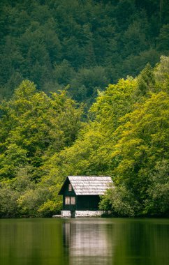 Slovenya 'daki ağaçların arasında yalnız bir ev - Bohinj Gölü