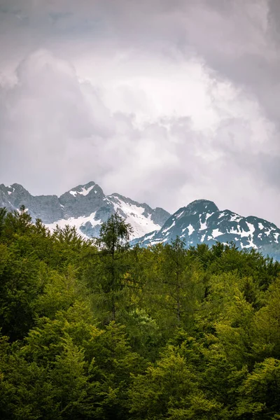 View Mountains Slovenia Lake Bohinj — Stock Photo, Image