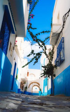 Bizerte, Tunus 'un mavi binaları