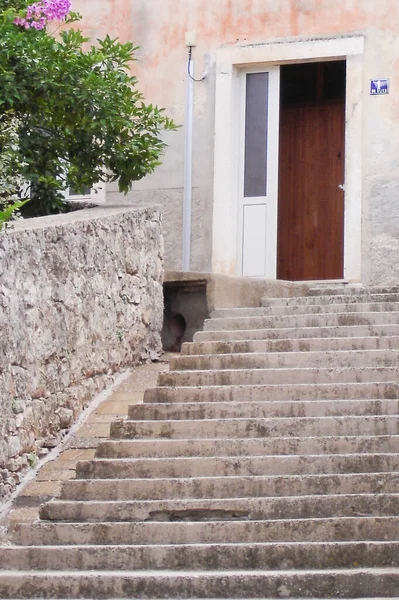 a stone staircase and wooden entrance in the house in the old town of Blato, island Korcula, Croatia