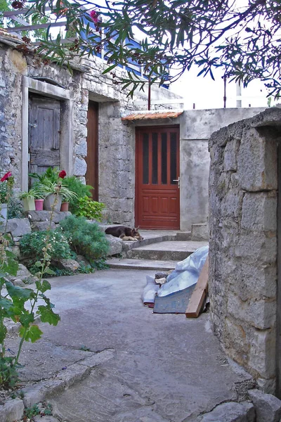 Quintal Uma Antiga Casa Mediterrânica Pedra Porta Madeira Cão Deitado — Fotografia de Stock
