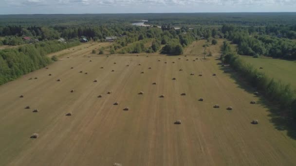 Op een heldere zomerdag vliegt een drone over een boerderij met een hooibaal. Netjes ingepakte balen staan op het veld nadat ze geoogst zijn. Voorbereiding van voedergewassen op de winter voor melkvee — Stockvideo