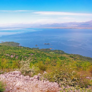 Karadağ. Ulusal Park Gölü Skadar. Güneşli bahar gününde Skadar Gölü 'nün güzel manzarası
